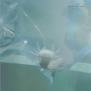 大陆耄耋老太太交性HD
